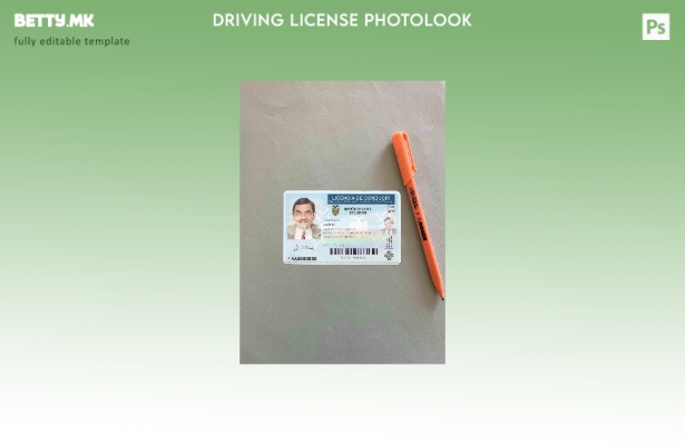 Модерен стил Еквадор DL photolook ПРЕДЕН шаблон